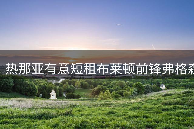 热那亚有意短租布莱顿前锋弗格森